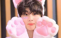 JUNGWON THE CAT